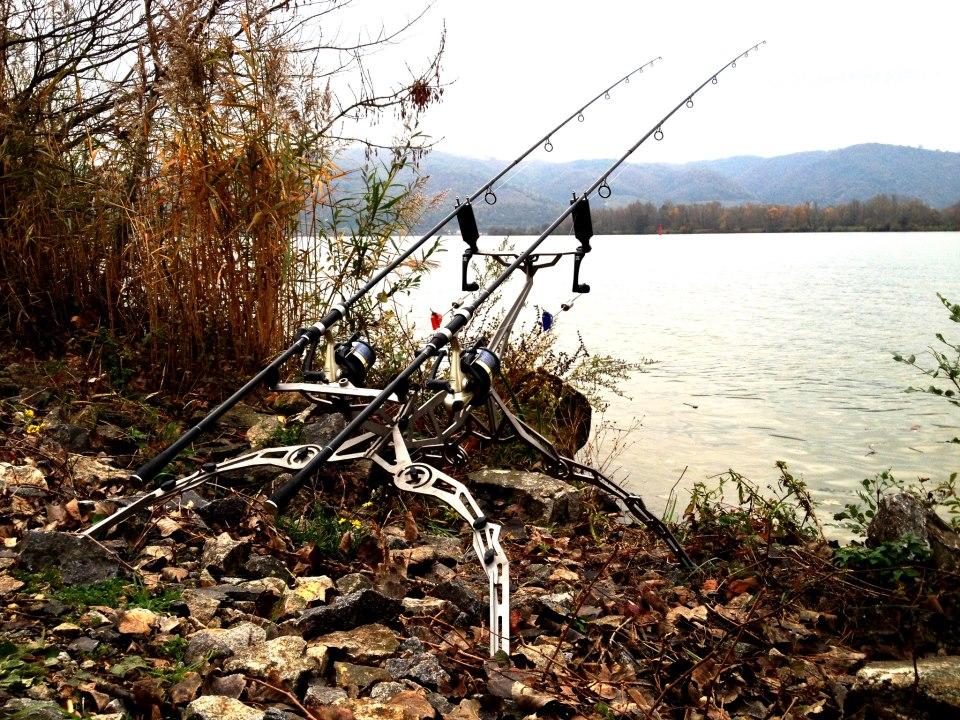 For Carp - 317907269622293167098175823450n.jpg